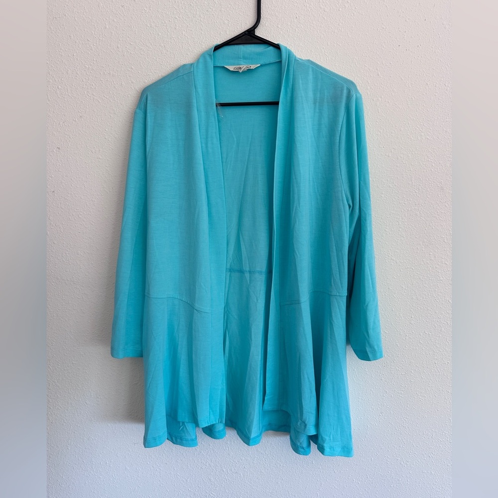 The Pioneer Woman Aqua Garment